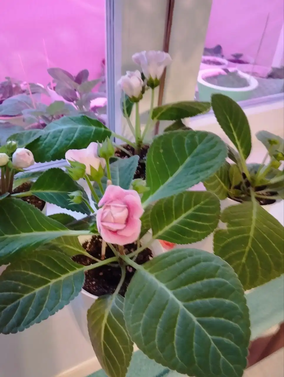 Продам ноутбук Acer Aspire 3