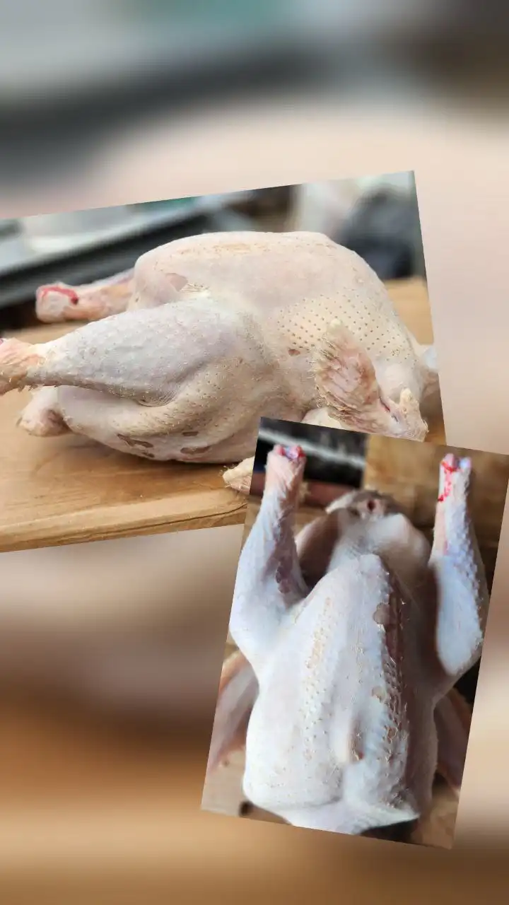 Продажа домашней индейки и индюка в Тюмени