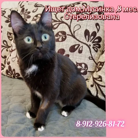 Продажа мебели в Тюмени - Продукты питания в Тюмень