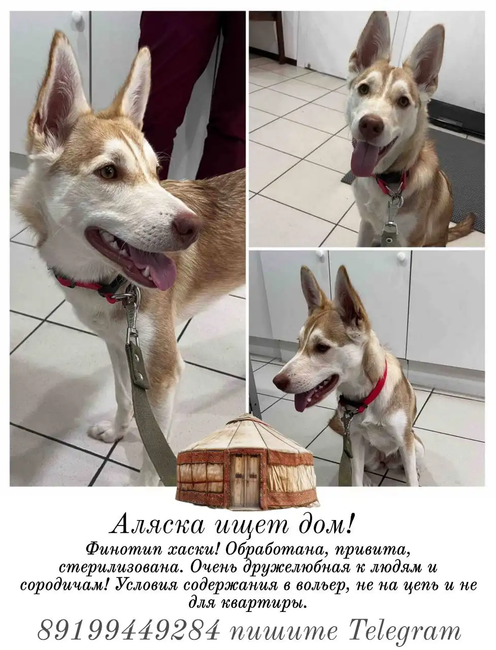 Барахолка в Тюмени - Барахолка в Тюмень