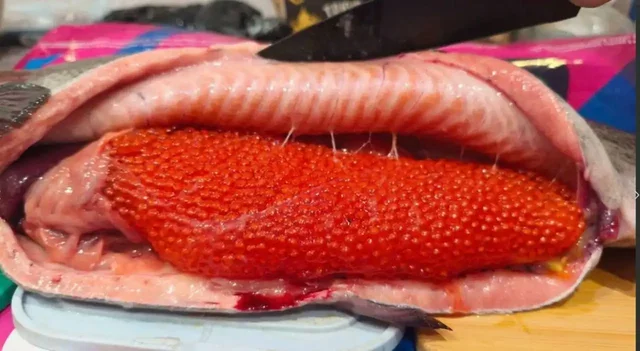 Продажа свежемороженой икорной форели из Киргизии - Холодильники в Тюмень