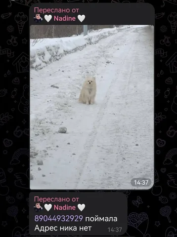 Потеряшка на войновке - Шторы в Тюмень