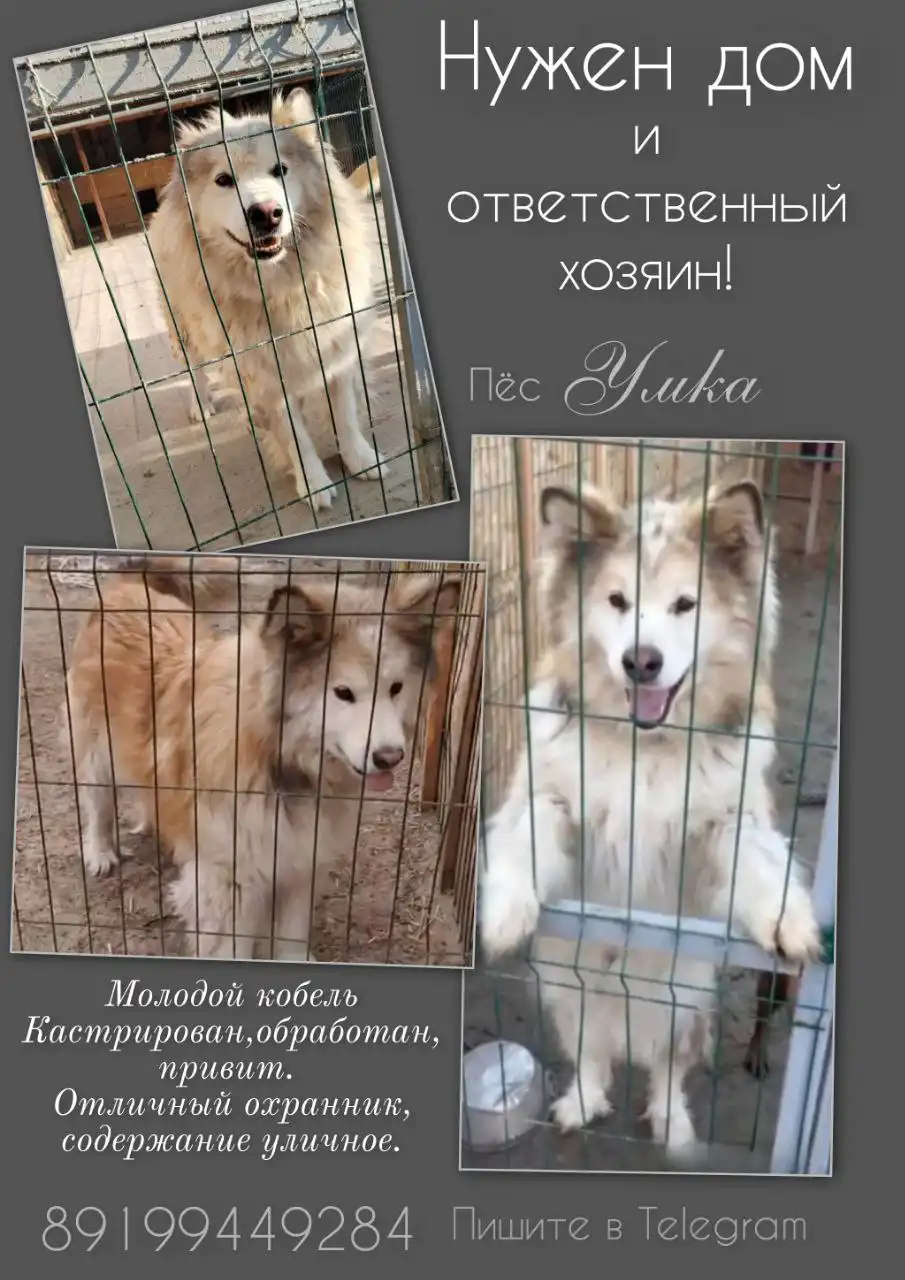 Объявление о продаже - Барахолка в Тюмень