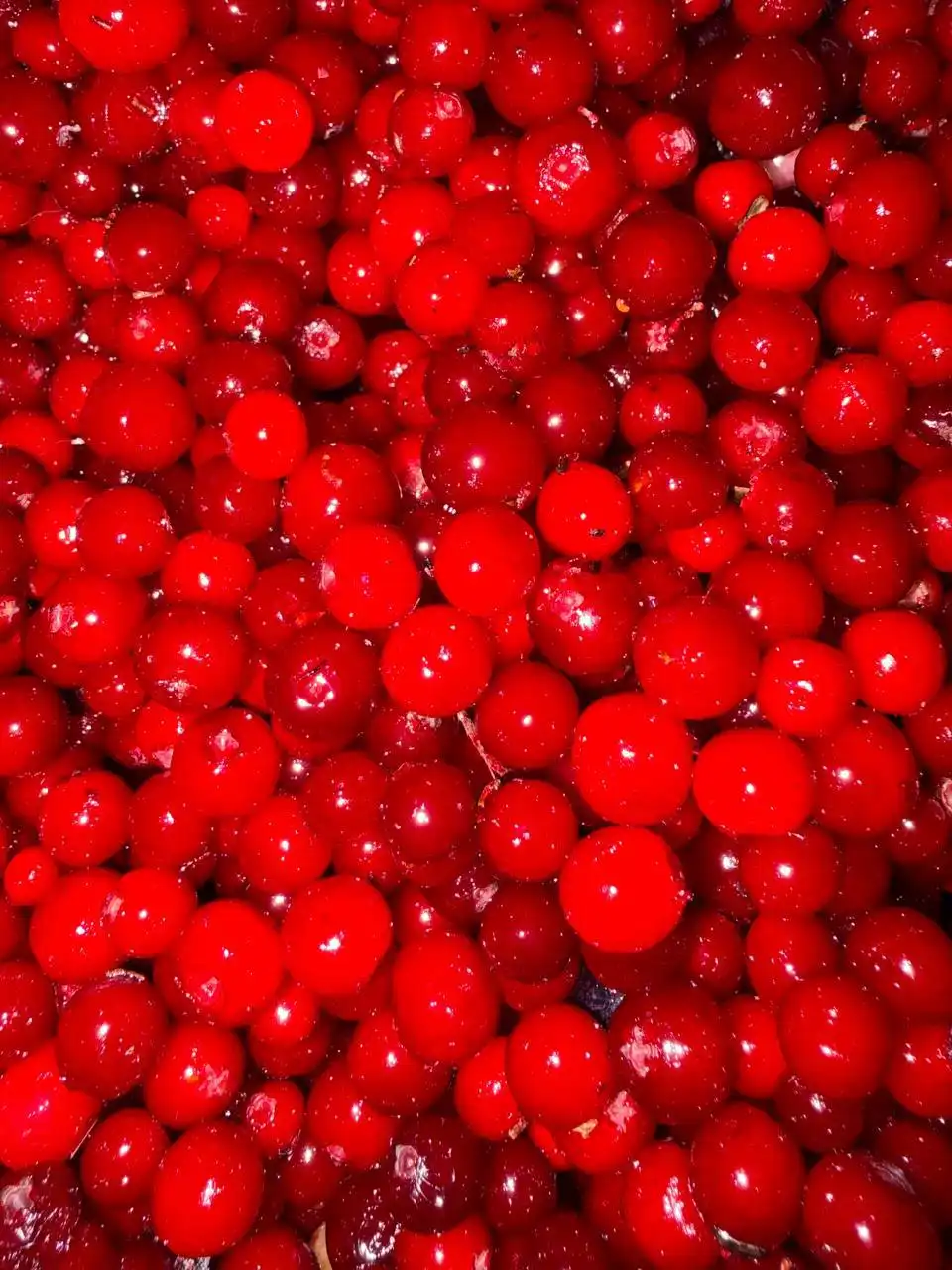 Замороженная ягода черника голубика брусника облепиха - Продукты питания (Барахолка) в Тюмень