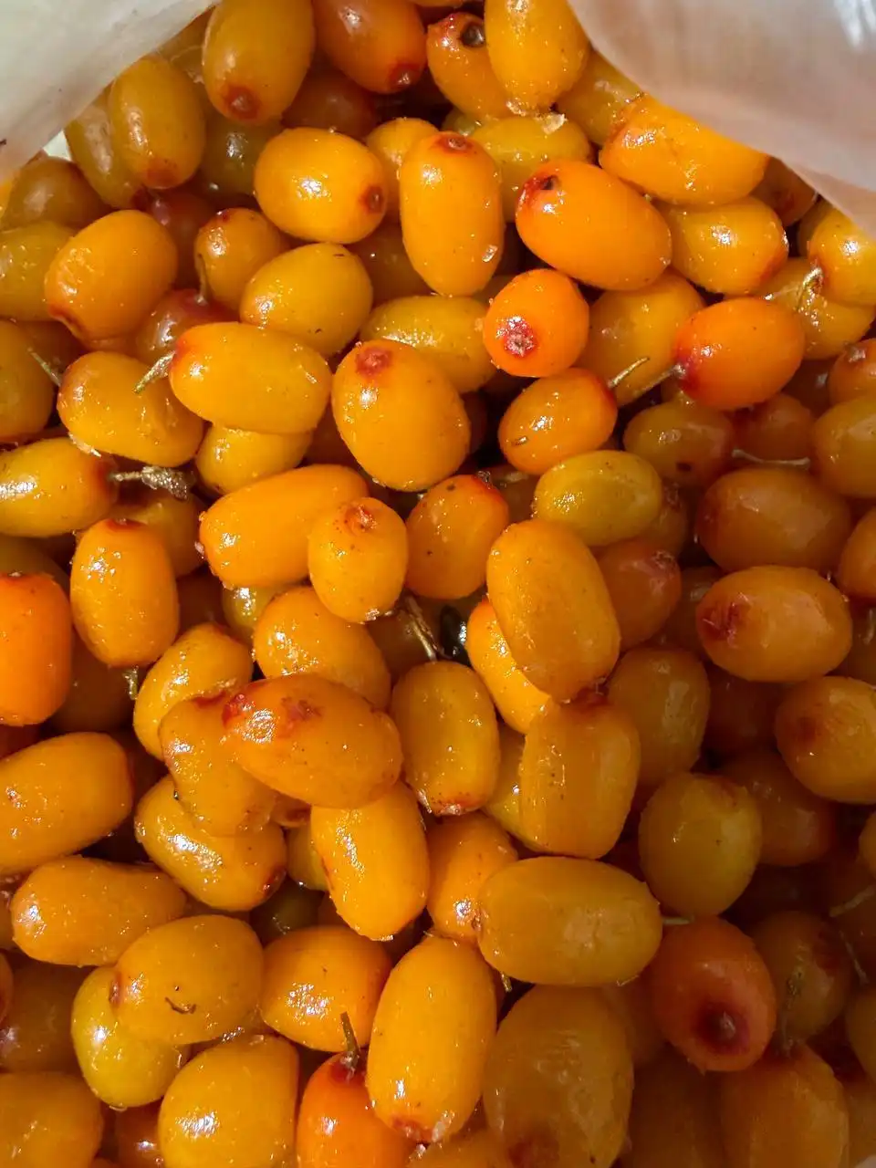 Замороженная ягода черника голубика брусника облепиха - Продукты питания (Барахолка) в Тюмень