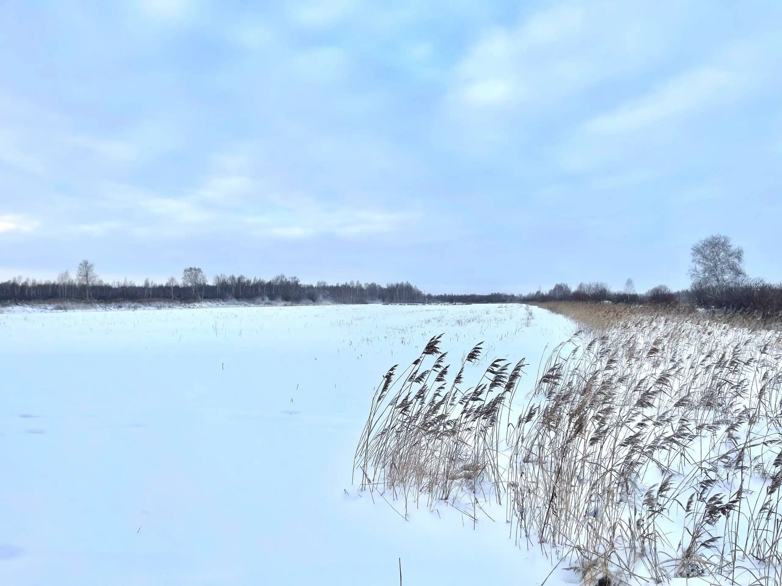 Продам участок 7,2 сотки в центральном округе Тюмени - Земля (Недвижимость) в Тюмень