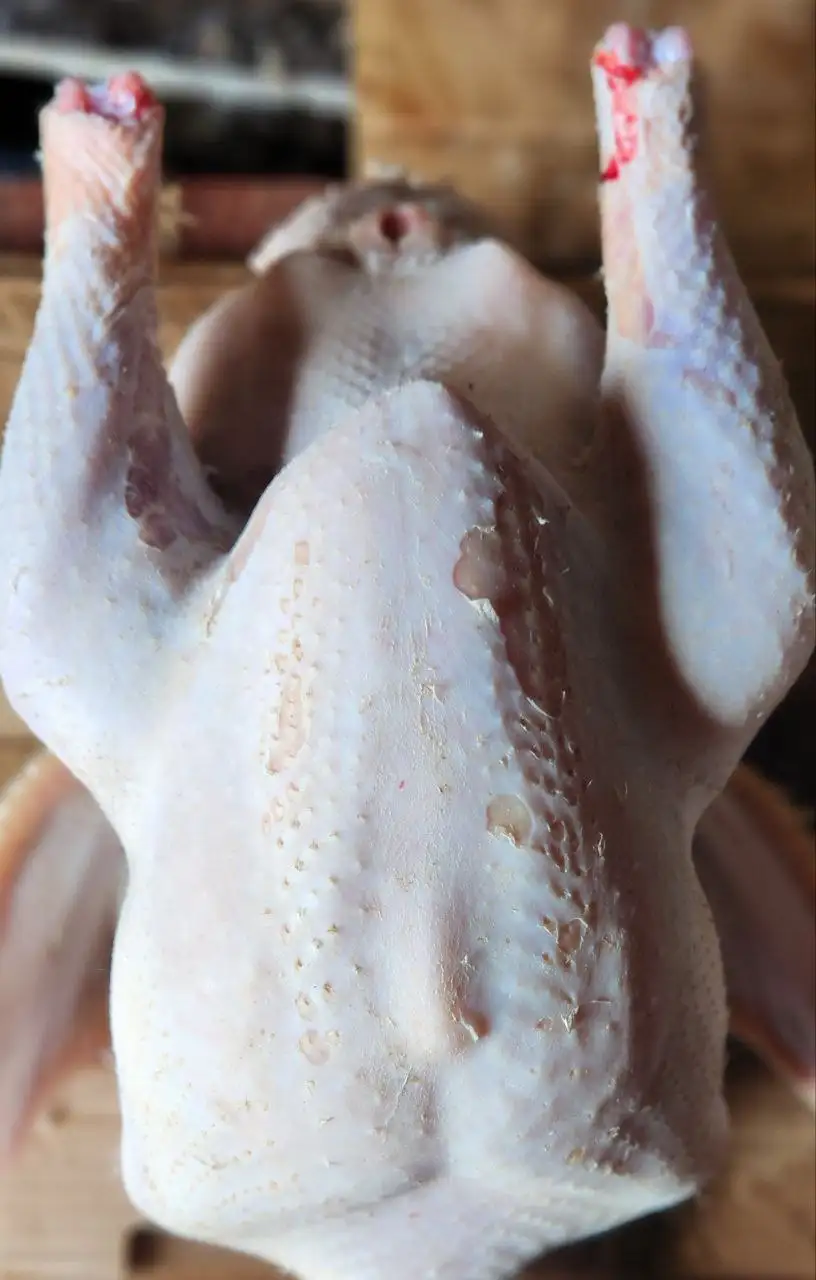 Домашний индюк тушка - Продукты питания (Барахолка) в Тюмень