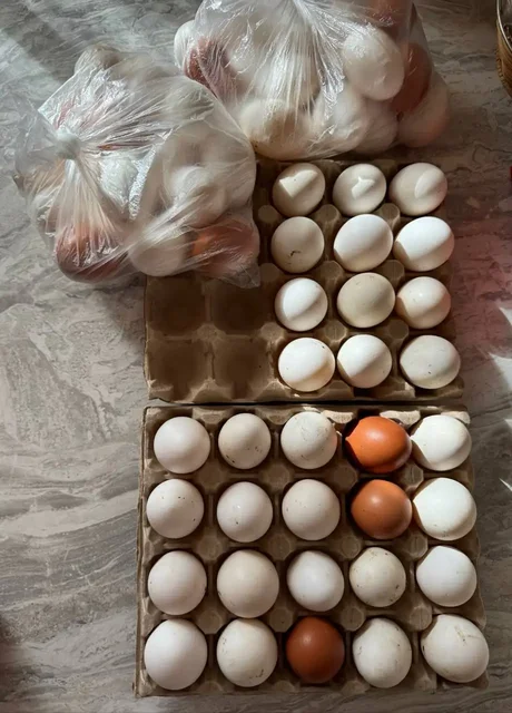 Продажа домашних яиц - Мангальные комплексы в Тюмень