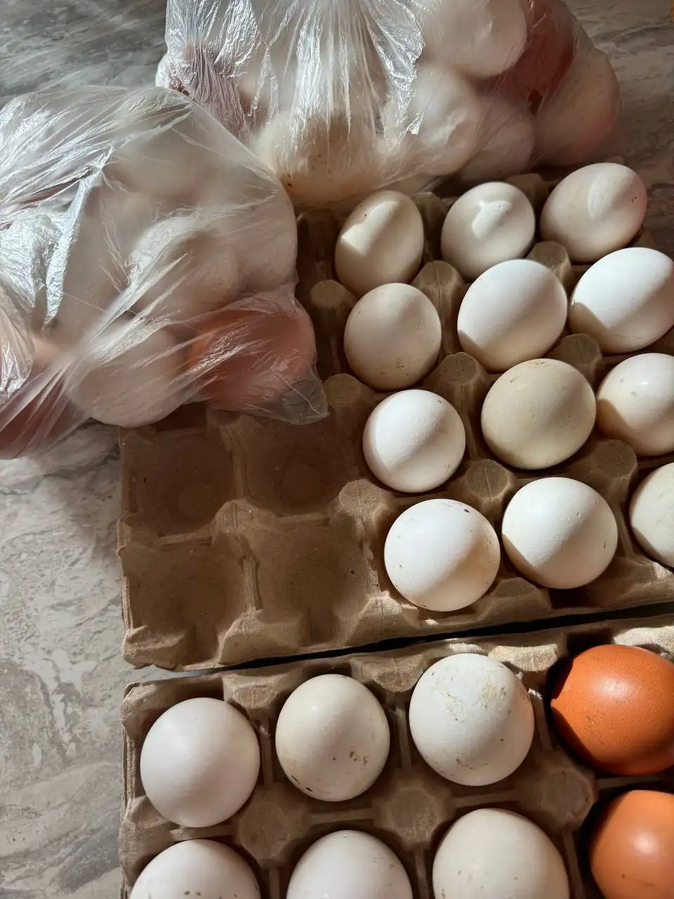 Продажа домашних яиц - Продукты питания (Барахолка) в Тюмень