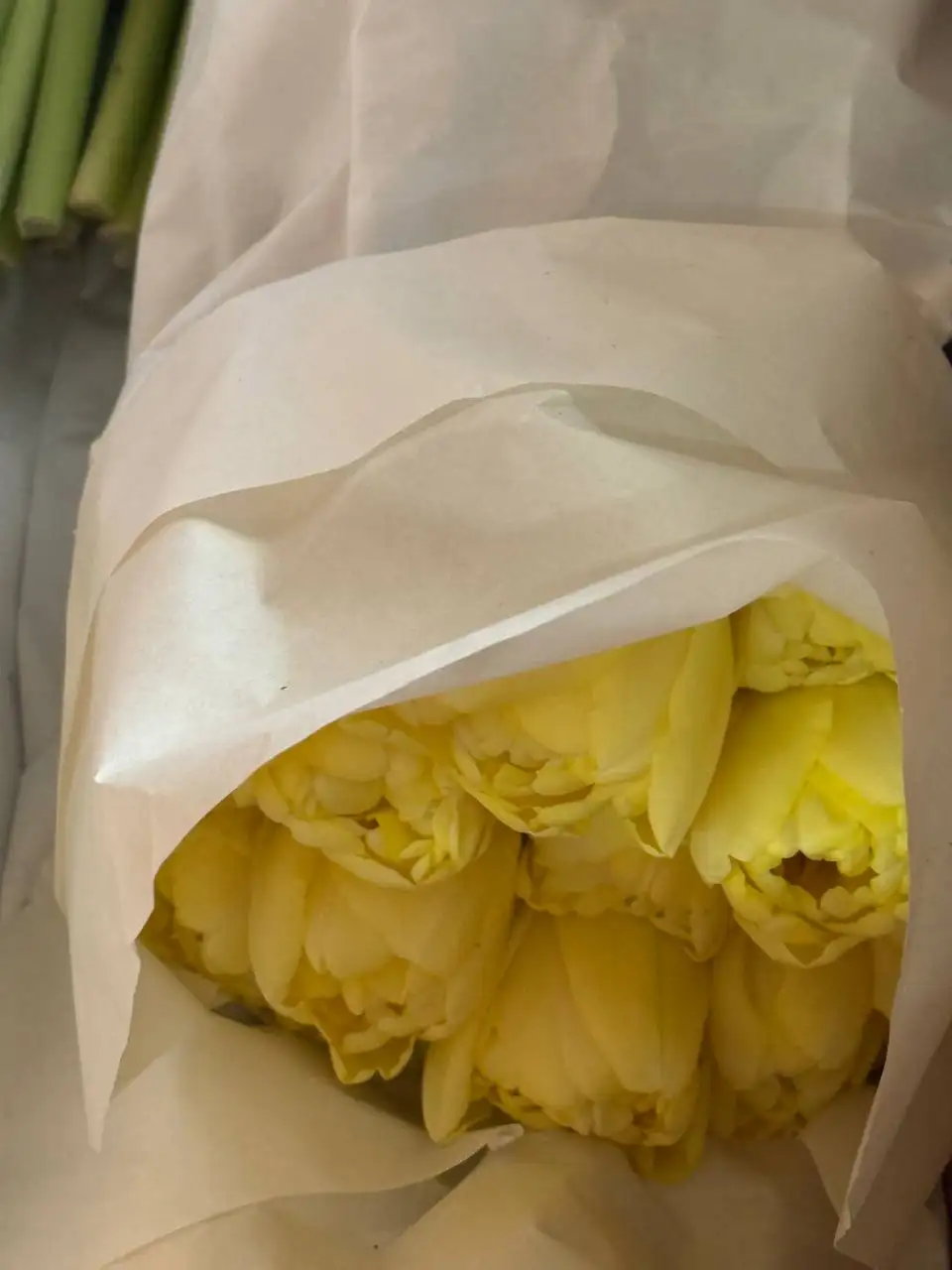 Свежие тюльпаны к 8 Марта с доставкой - Цветы (Барахолка) в Тюмень