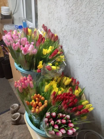 Продажа тюльпанов к 8 марта - Электротранспорт в Тюмень