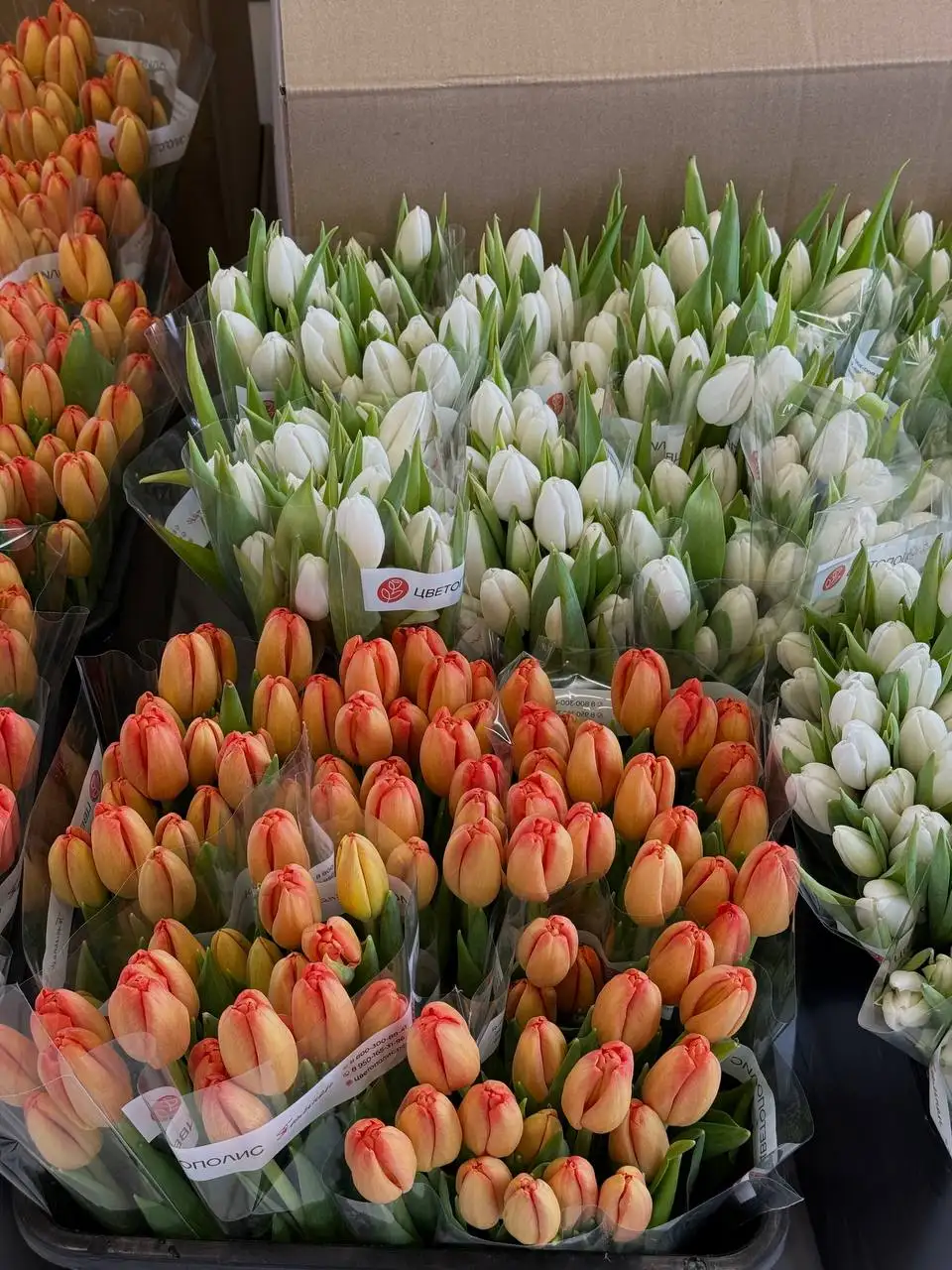Свежие тюльпаны к 8 Марта с доставкой - Цветы (Барахолка) в Тюмень