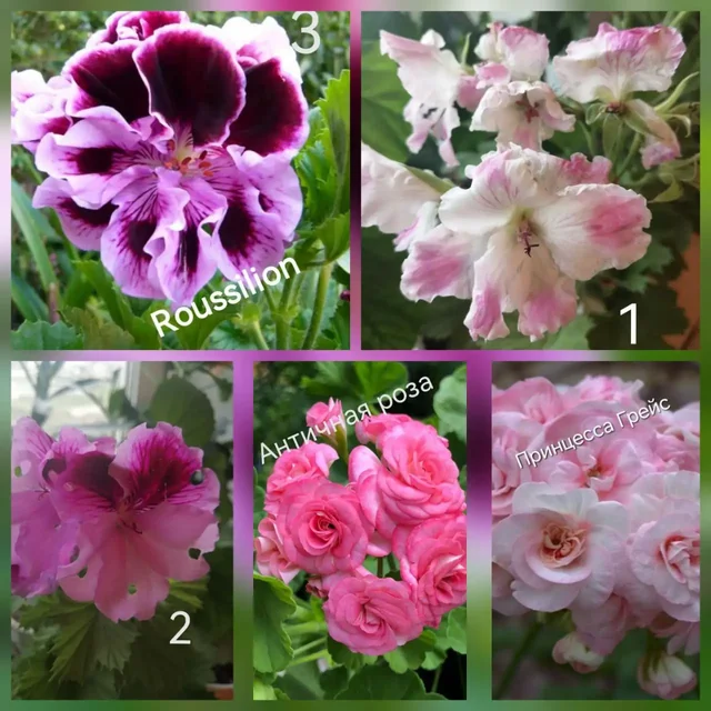 Распродажа остатков на ММС Путилова 45 - Электротранспорт в Тюмень