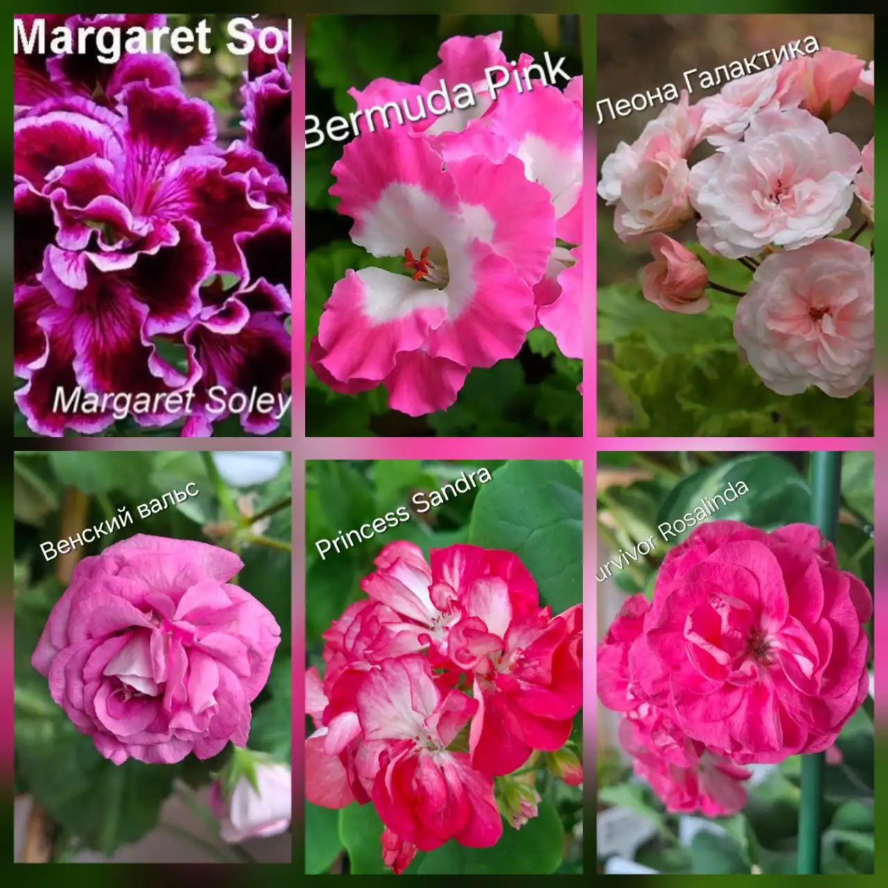 Распродажа остатков на ММС Путилова 45 - Барахолка в Тюмень