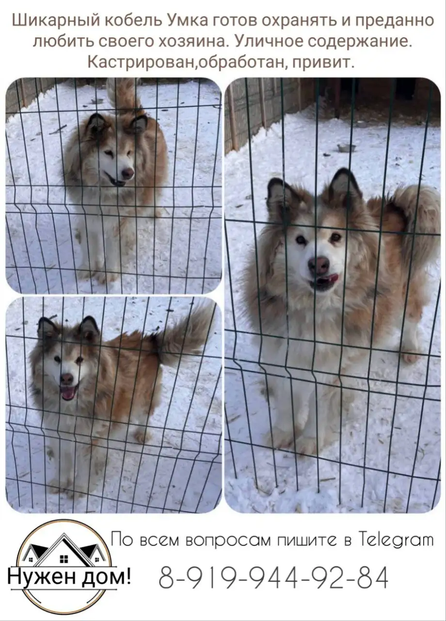 Продажа товара - Барахолка в Тюмень