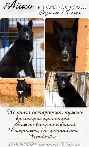 Объявление в барахолке Тюмени - Спецодежда в Тюмень