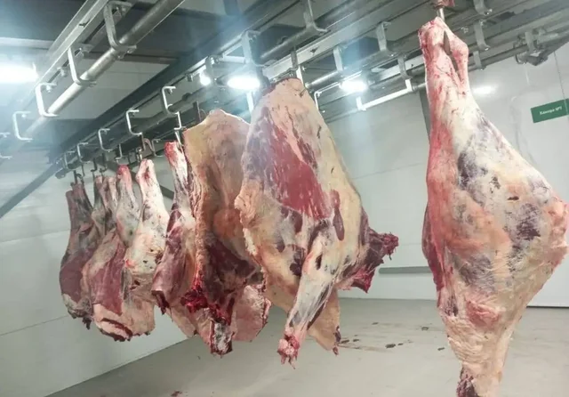 Говядина с частного хозяйства в Тюмени - Электронные устройства в Тюмень