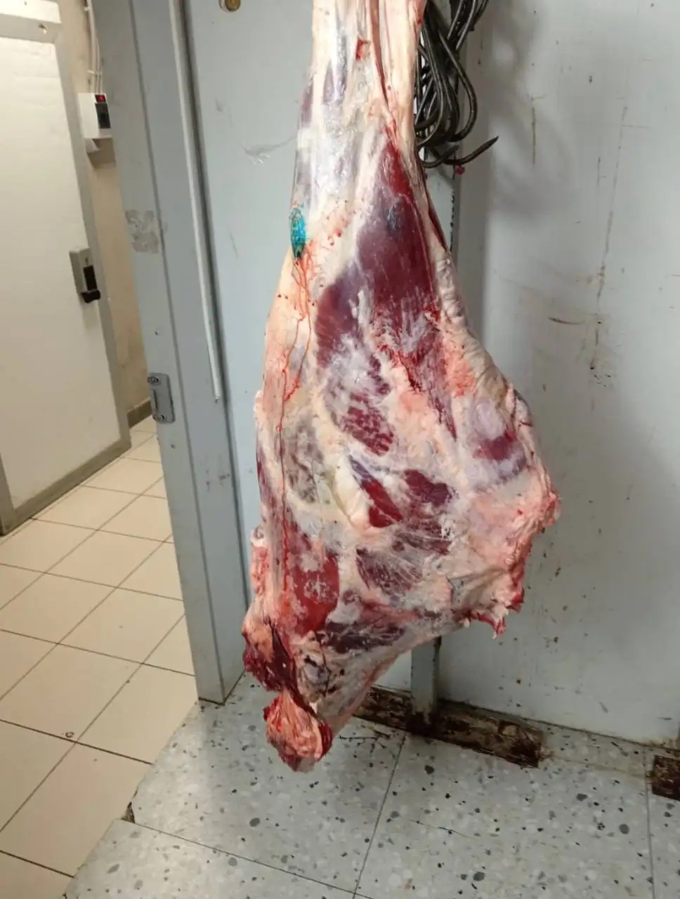 Говядина с частного хозяйства в Тюмени - Барахолка в Тюмень