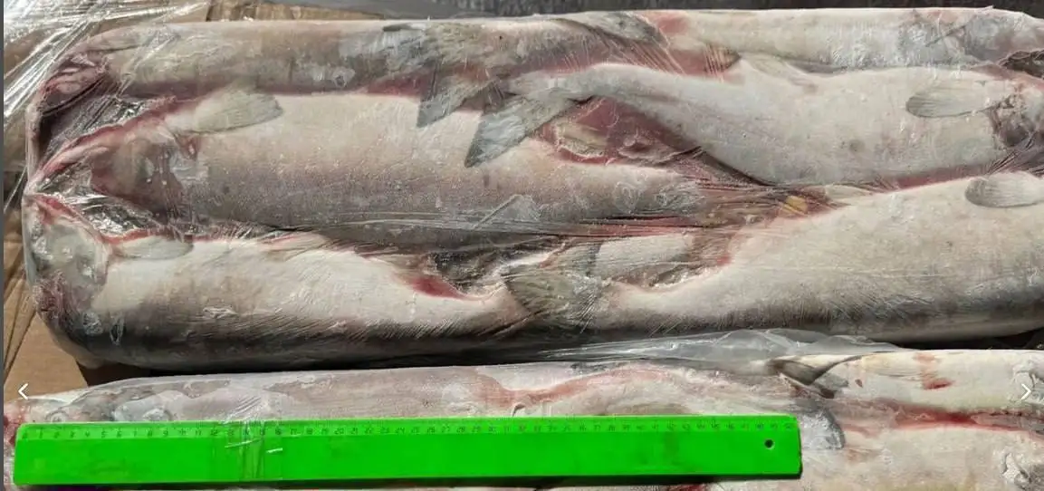 ГОРБУША непотрошеная Дальневосточная - Продукты питания (Барахолка) в Тюмень