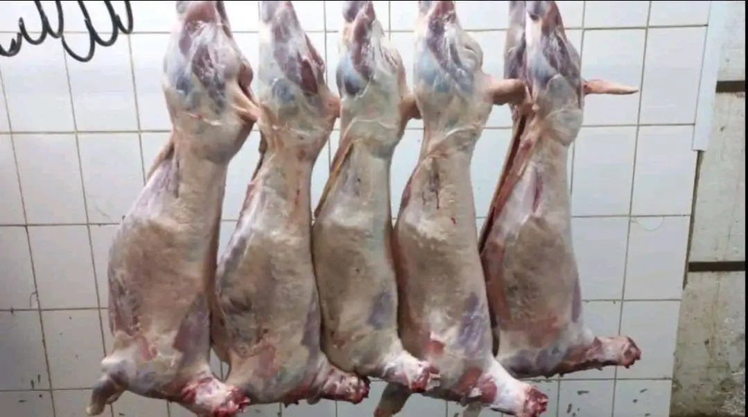 Баранина халяль в Тюмени - Продукты питания (Барахолка) в Тюмень