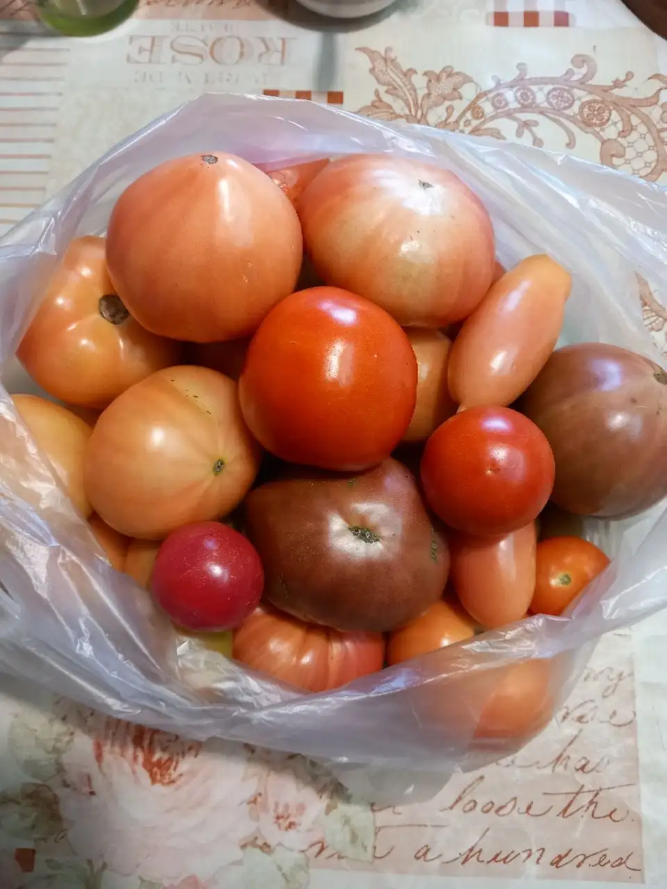 Продам помидоры - Барахолка в Тюмень