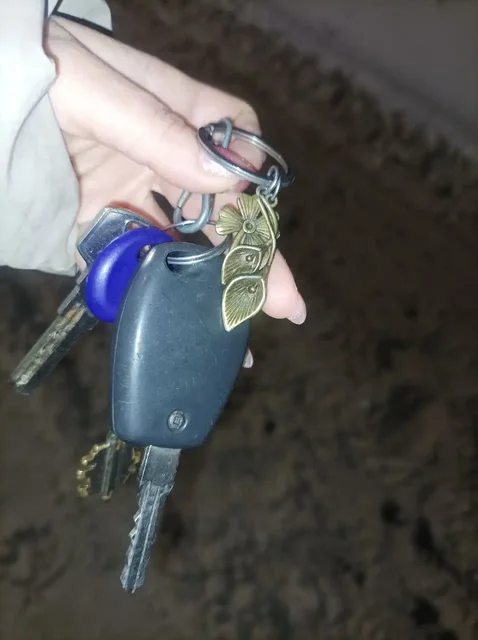 Найдены ключи в частном секторе Ульяновска - Подарки в Ульяновск