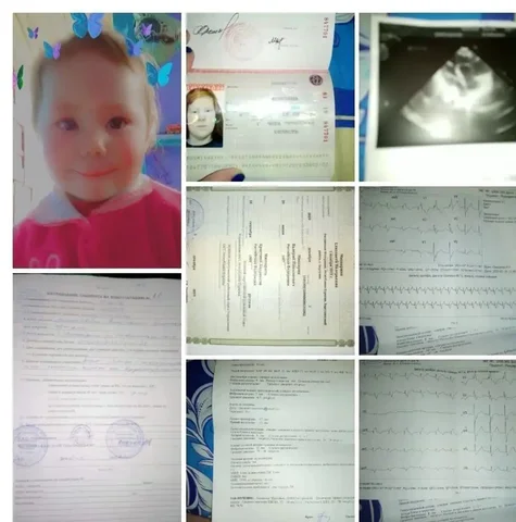 Срочный сбор средств на лечение ребенка с пороком сердца - Растения, цветы в Новосибирск