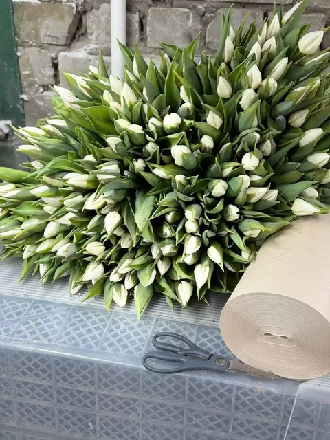 Продажа свежесрезанных тюльпанов в Ульяновске - Цветы и букеты в Ульяновск