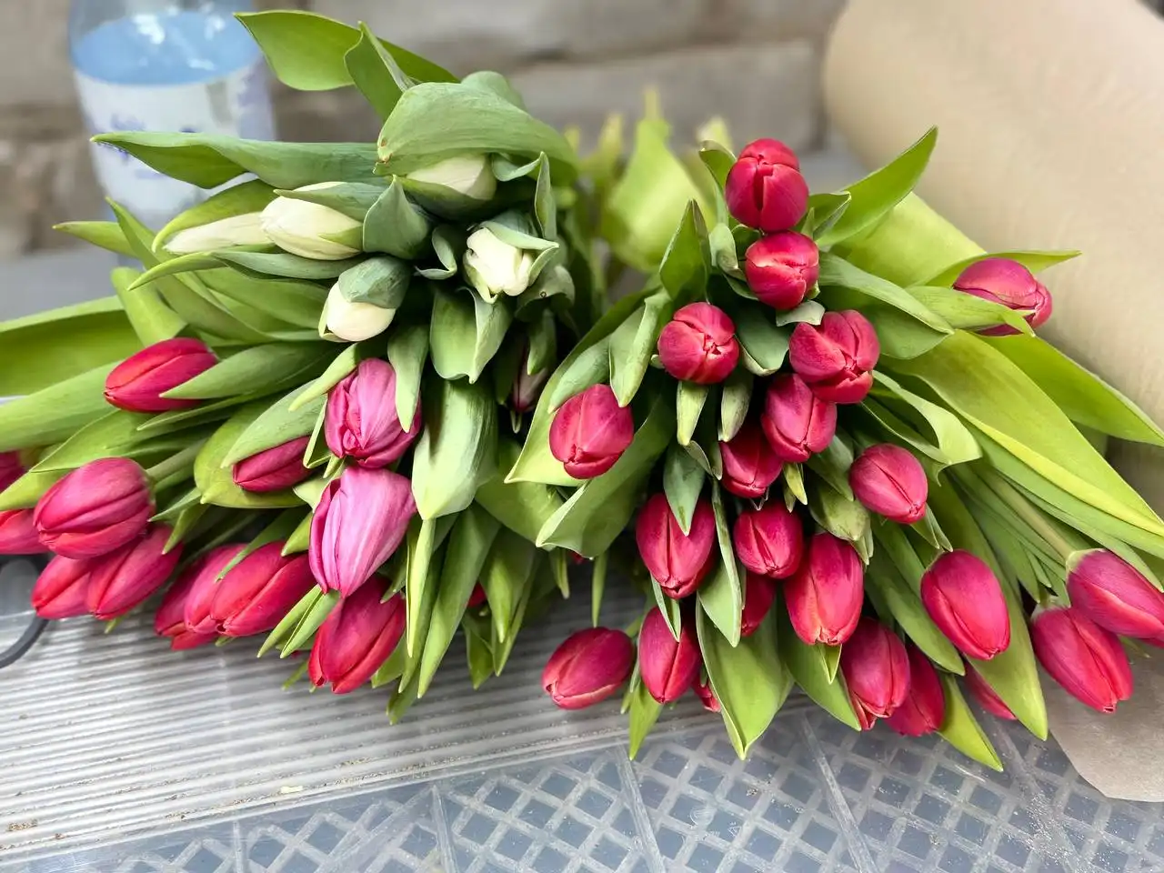 Продажа свежесрезанных тюльпанов в Ульяновске - Барахолка в Ульяновск