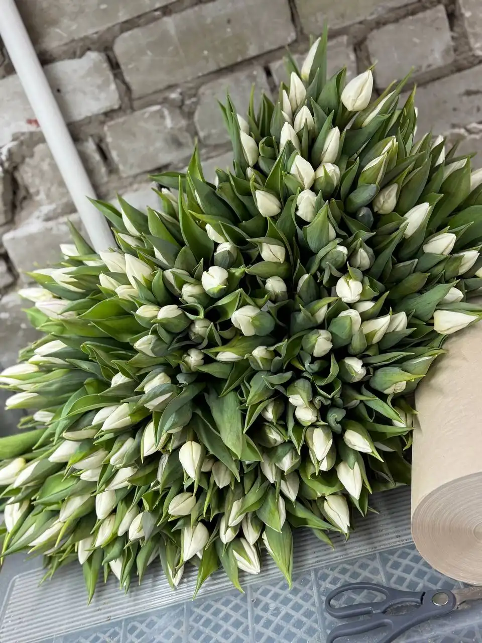 Срезка тюльпанов в Ульяновске с доставкой - Цветы (Барахолка) в Ульяновск