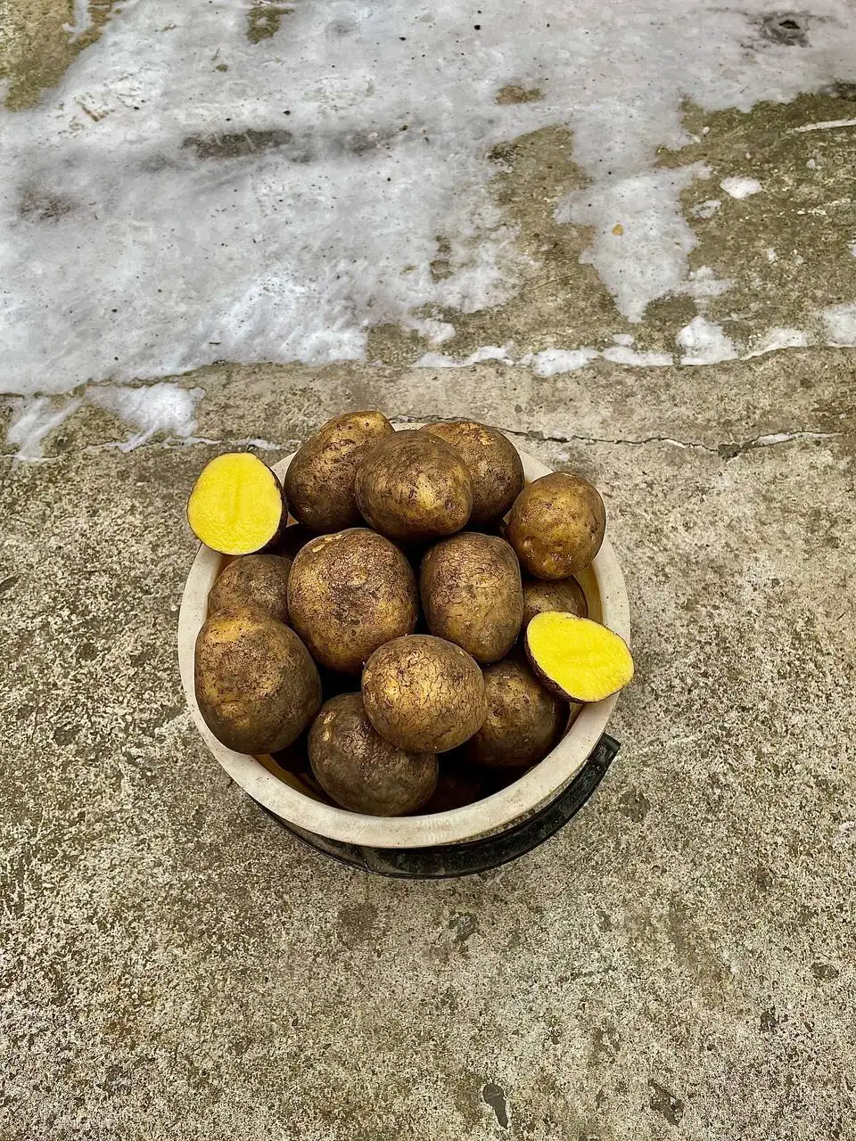 Продам картофель сорт Гала - Продукты питания (Барахолка) в Лаишевка