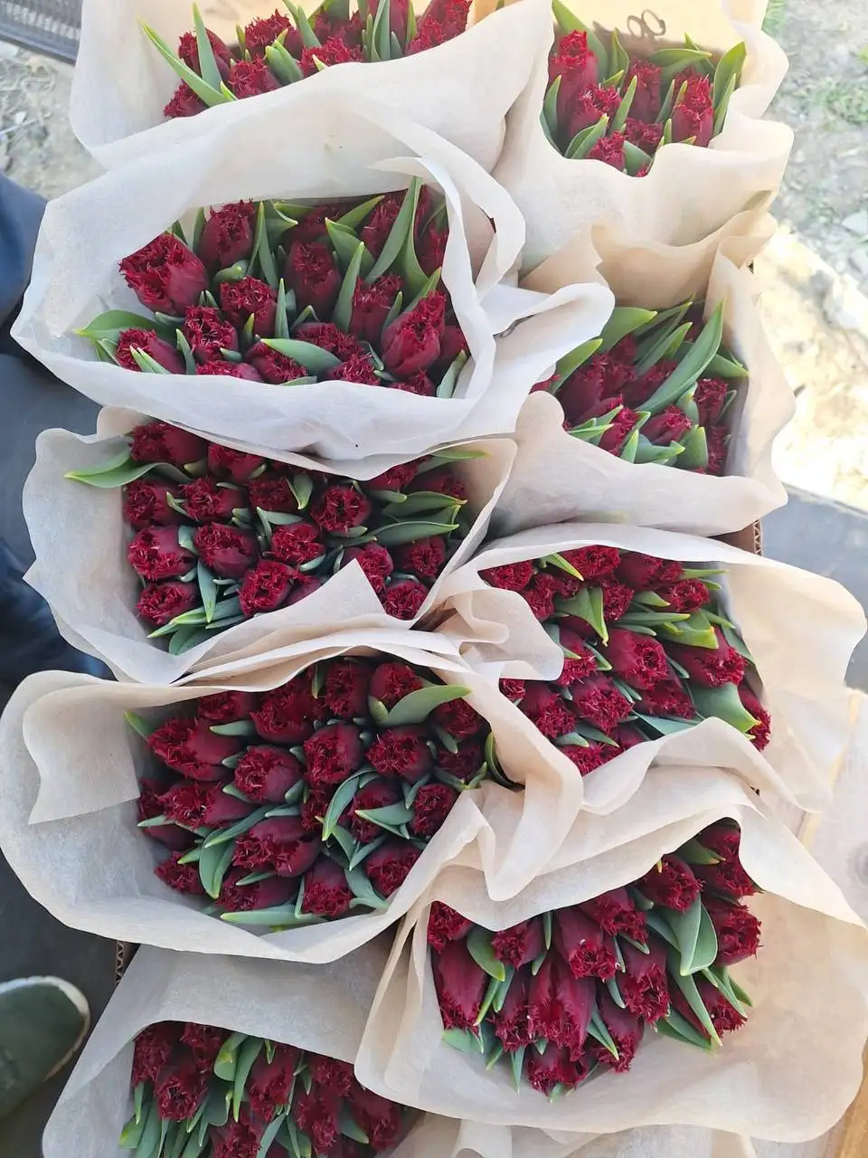 Свежие тюльпаны в Ульяновске - Барахолка в Ульяновск