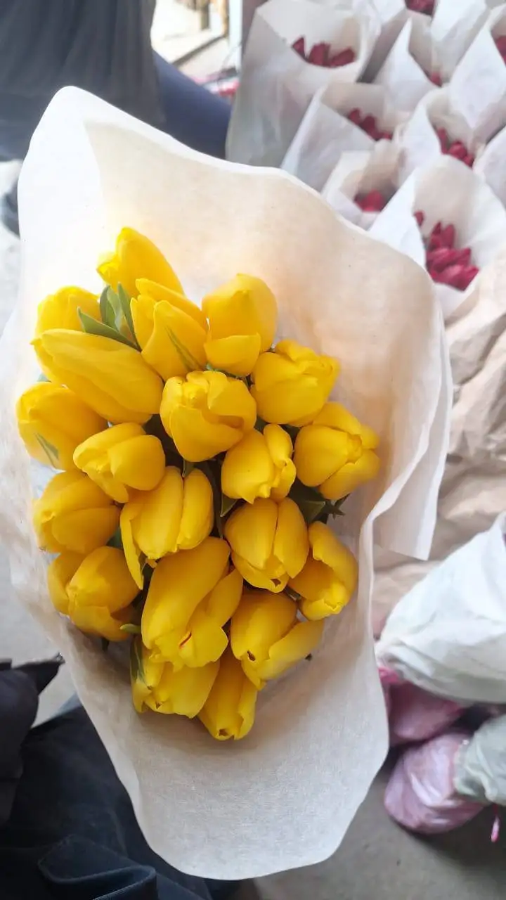 Свежие тюльпаны в Ульяновске - Барахолка в Ульяновск