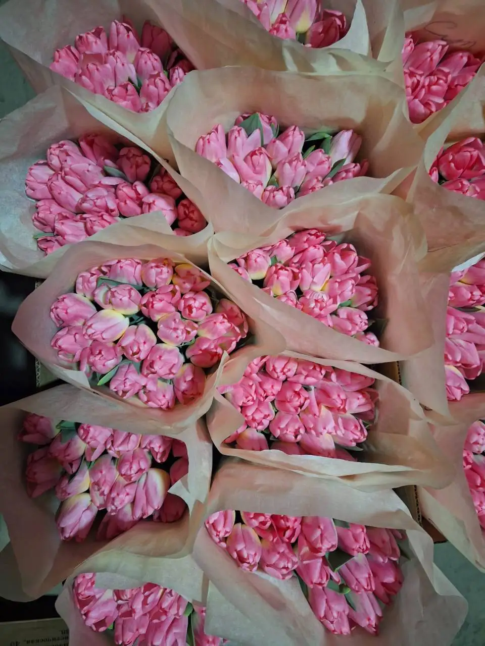 Свежие тюльпаны в Ульяновске - Барахолка в Ульяновск
