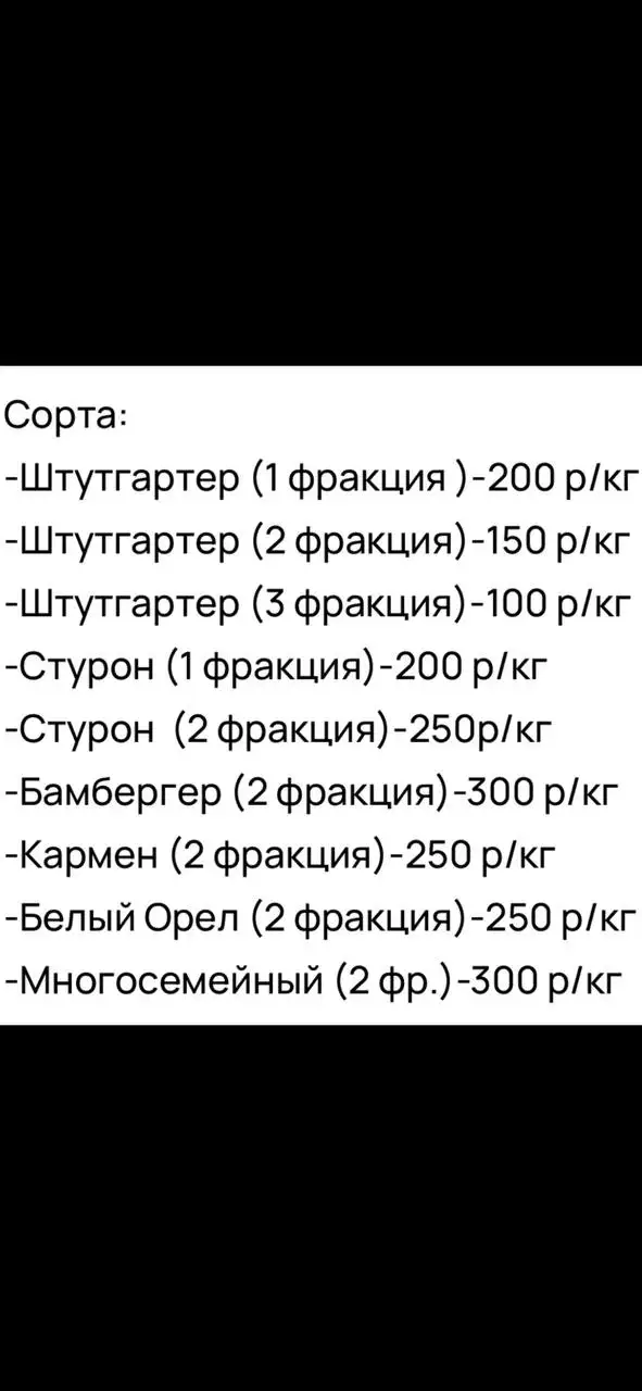 Продажа домашнего лука севка - Продукты питания (Барахолка) в Лаишевка