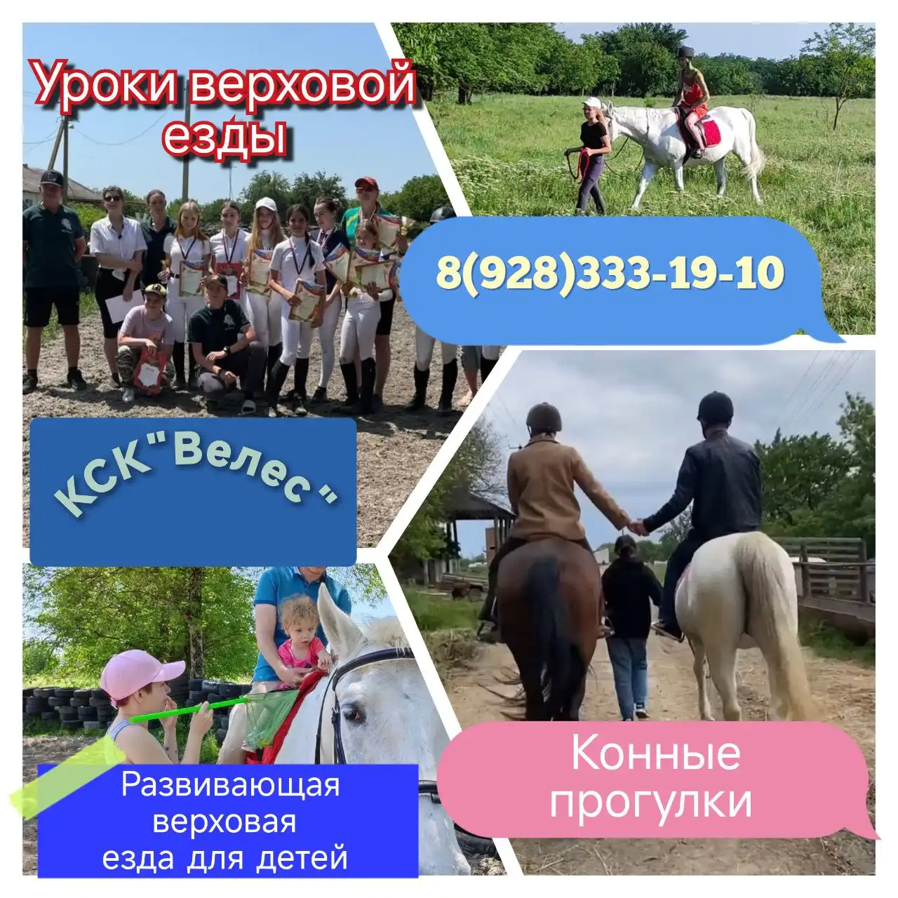 Услуги конного клуба КСК Велес - Конный спорт (Хобби и отдых) в Краснодар