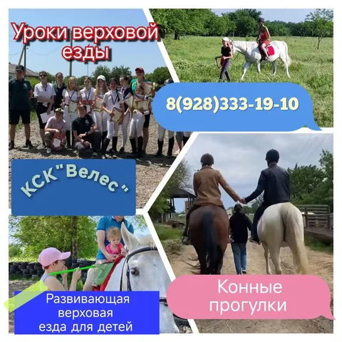Услуги конного клуба КСК Велес - Экскурсии в Краснодар