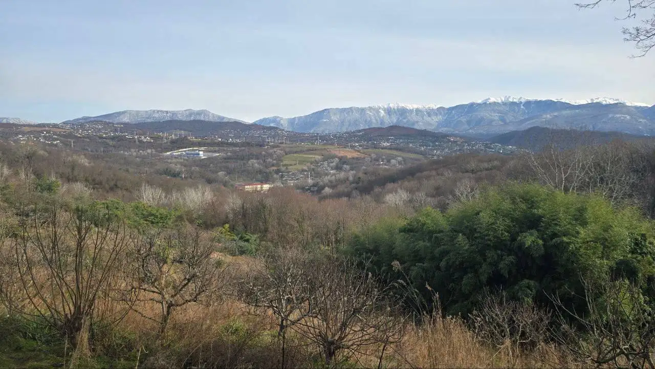 Земельный участок в Черешне (Адлер) - Земельные участки (Недвижимость) в Адлер