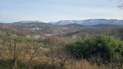 Земельный участок в Черешне (Адлер) - Недвижимость в Адлер