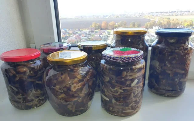 Продажа маринованных и сушёных грибов - Скворечники и кормушки в Краснодар