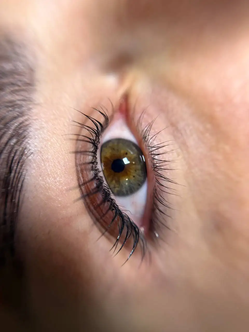 Поиск моделей для создания бьюти-образа - Красота и здоровье (Услуги) в Краснодар