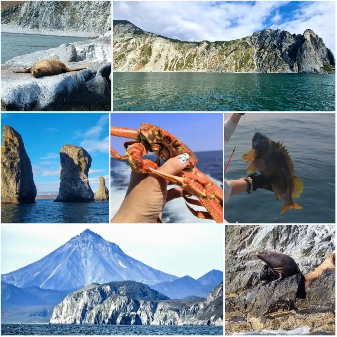 Морские прогулки и рыбалка на Камчатке - Морские прогулки (Хобби и отдых) в Камчатка
