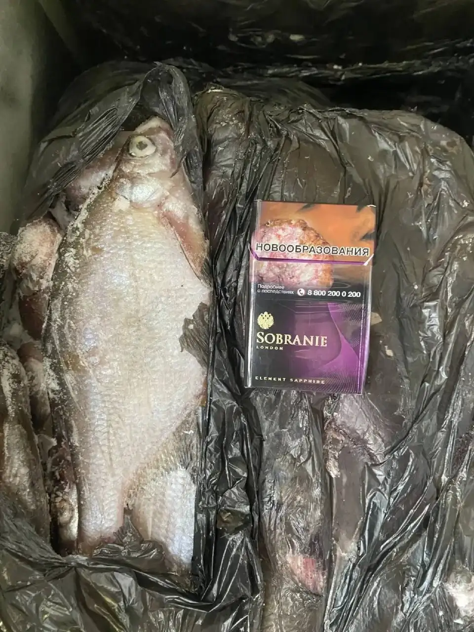 Продажа леща и раков - Барахолка в Майкоп