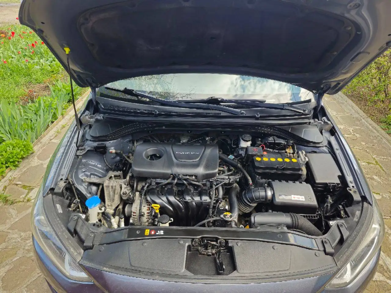 Škoda Oktavia 2017 - Легковые автомобили (Авто) в Краснодар