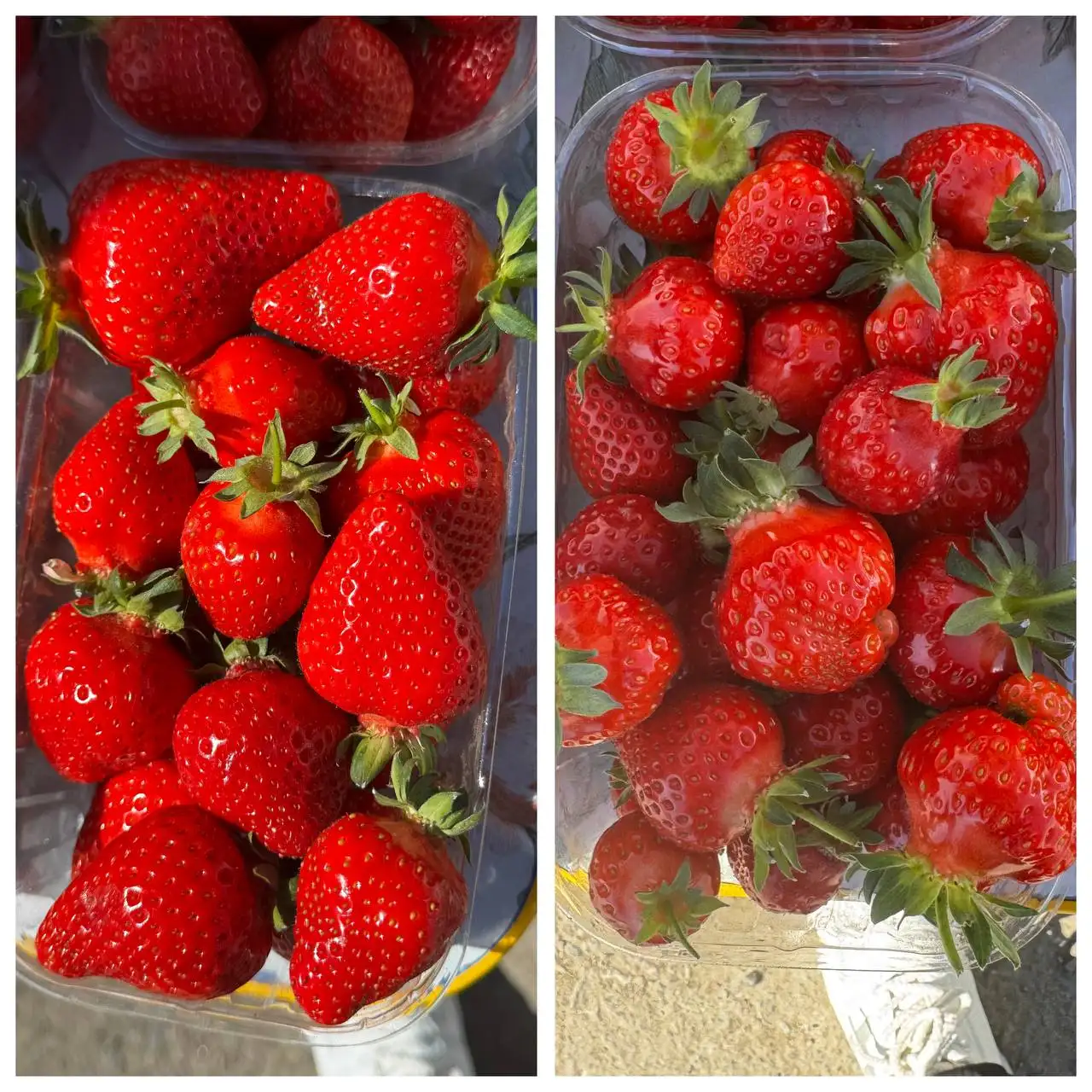 Свежесобранная клубника - Продукты питания (Барахолка) в Новотитаровская