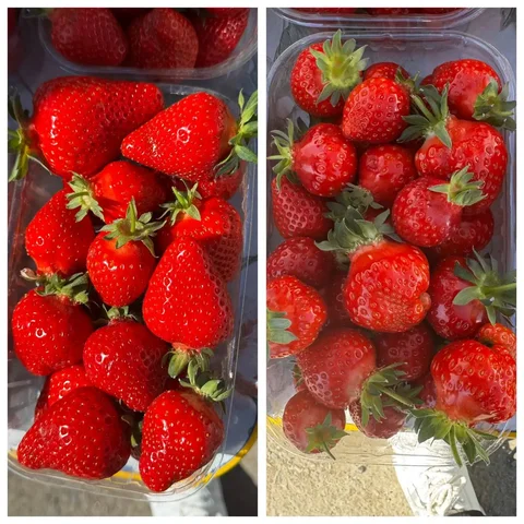 Свежесобранная клубника - частное объявление в Новотитаровская