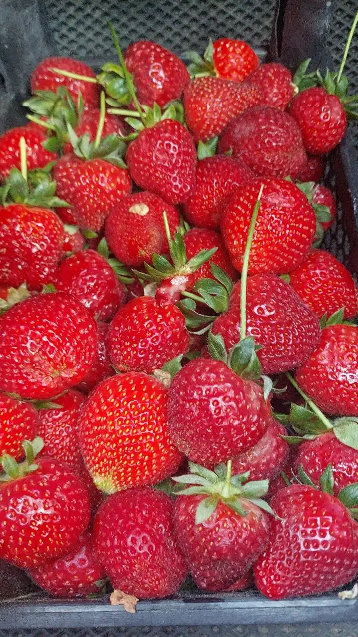 Клубника по 700р за ящик - Продукты питания (Для дома и дачи) в Краснодар