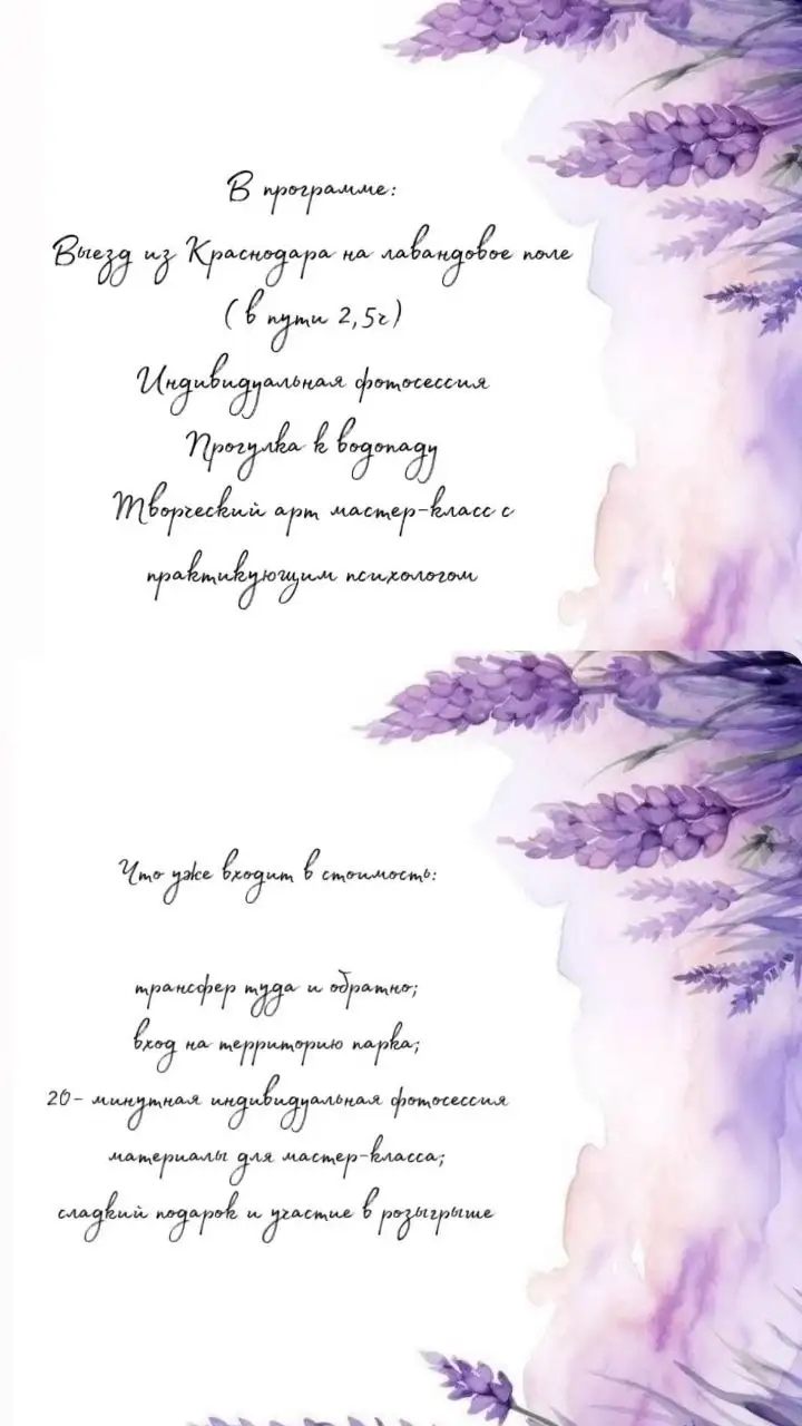 Девичник на лавандовой ферме - Мероприятия (Услуги) в Краснодар