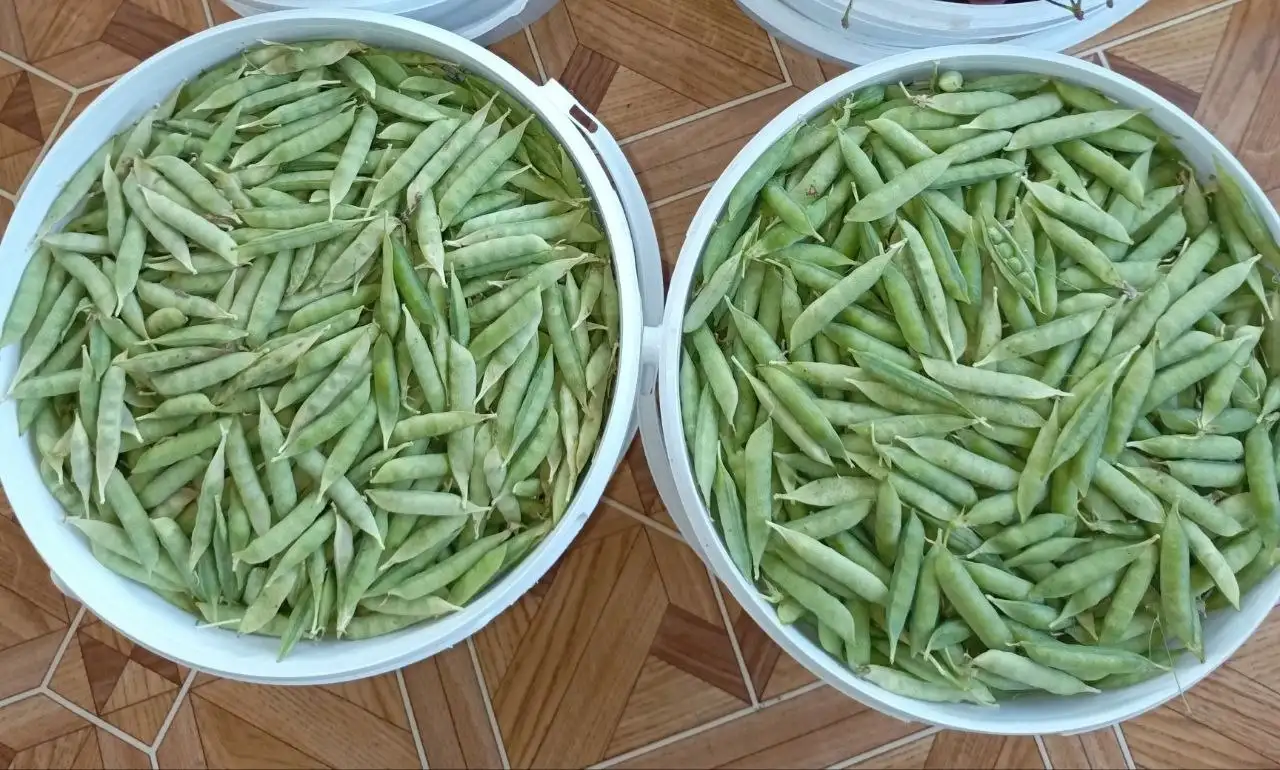 Домашний горошек на жарку и консервацию - Овощи (Продукты) в Неизвестно