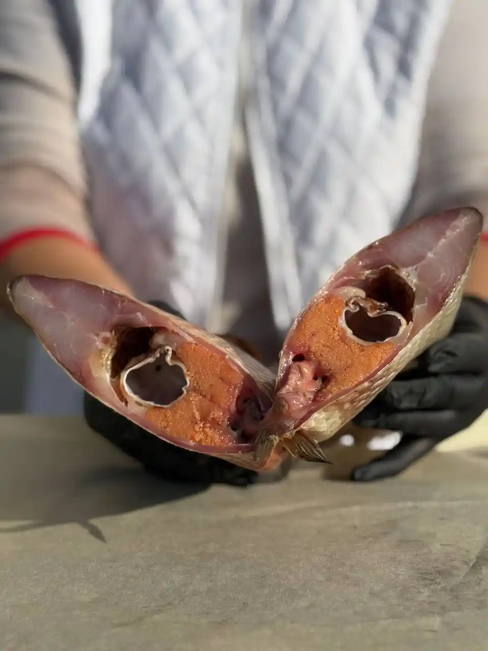 Цимлянский Лещ — вяленый деликатес с Дона